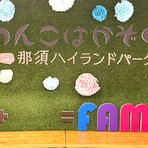 <strong>小型犬用 室内わんっだふるドッグラン</strong>